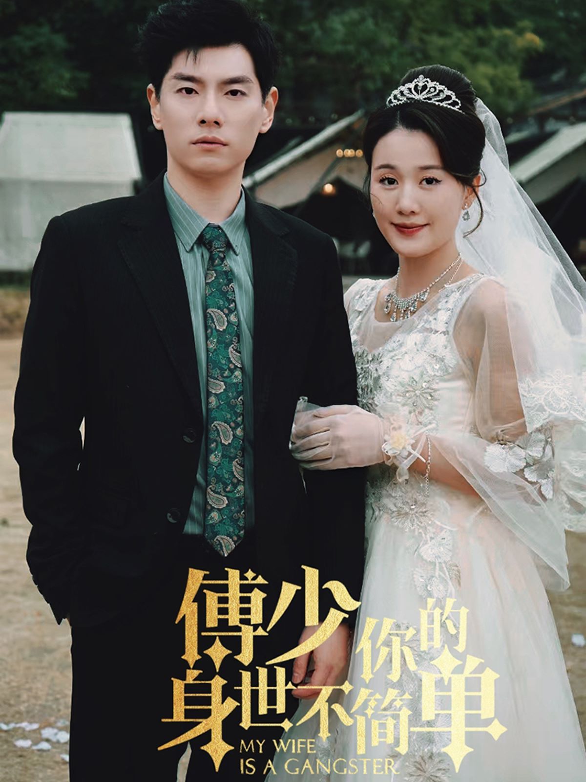 傅少你的身世不简单第41-60集