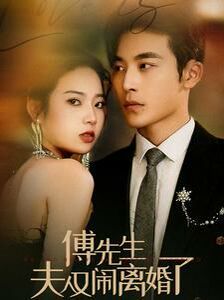 傅先生夫人又闹离婚了第61-80集完结(大结局)