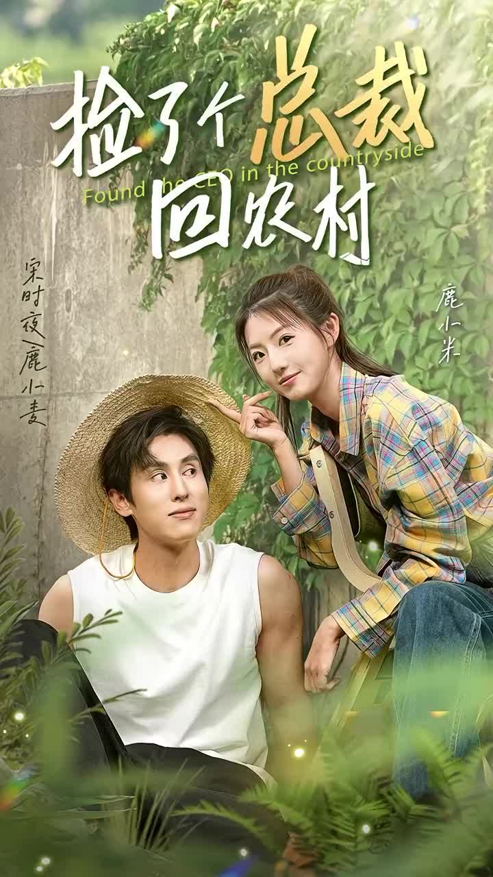捡了个总裁回农村全集(大结局)