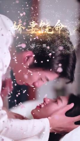 娇妻饶命第21-40集