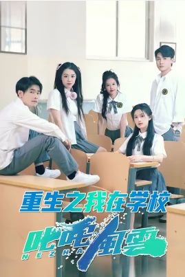 重生之我在学校叱咤风云第21-40集