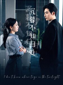 沉暮不知归处第61-80集