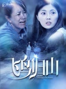 飞鸟归山第81-100集完结(大结局)