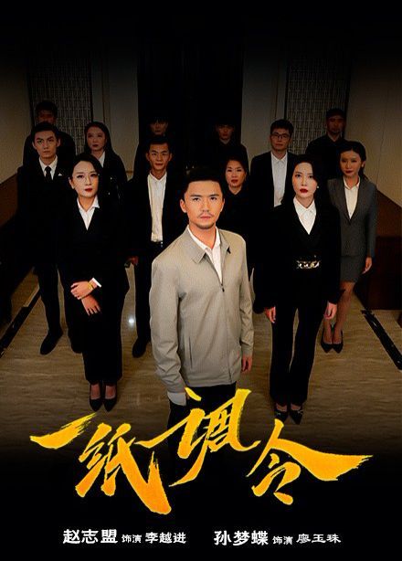 一纸调令第21-40集