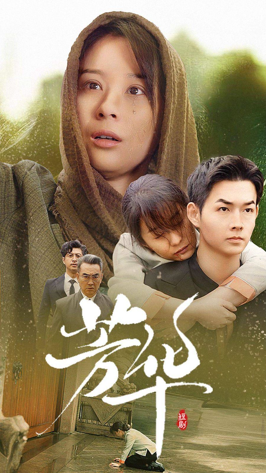 芳华第1-20集