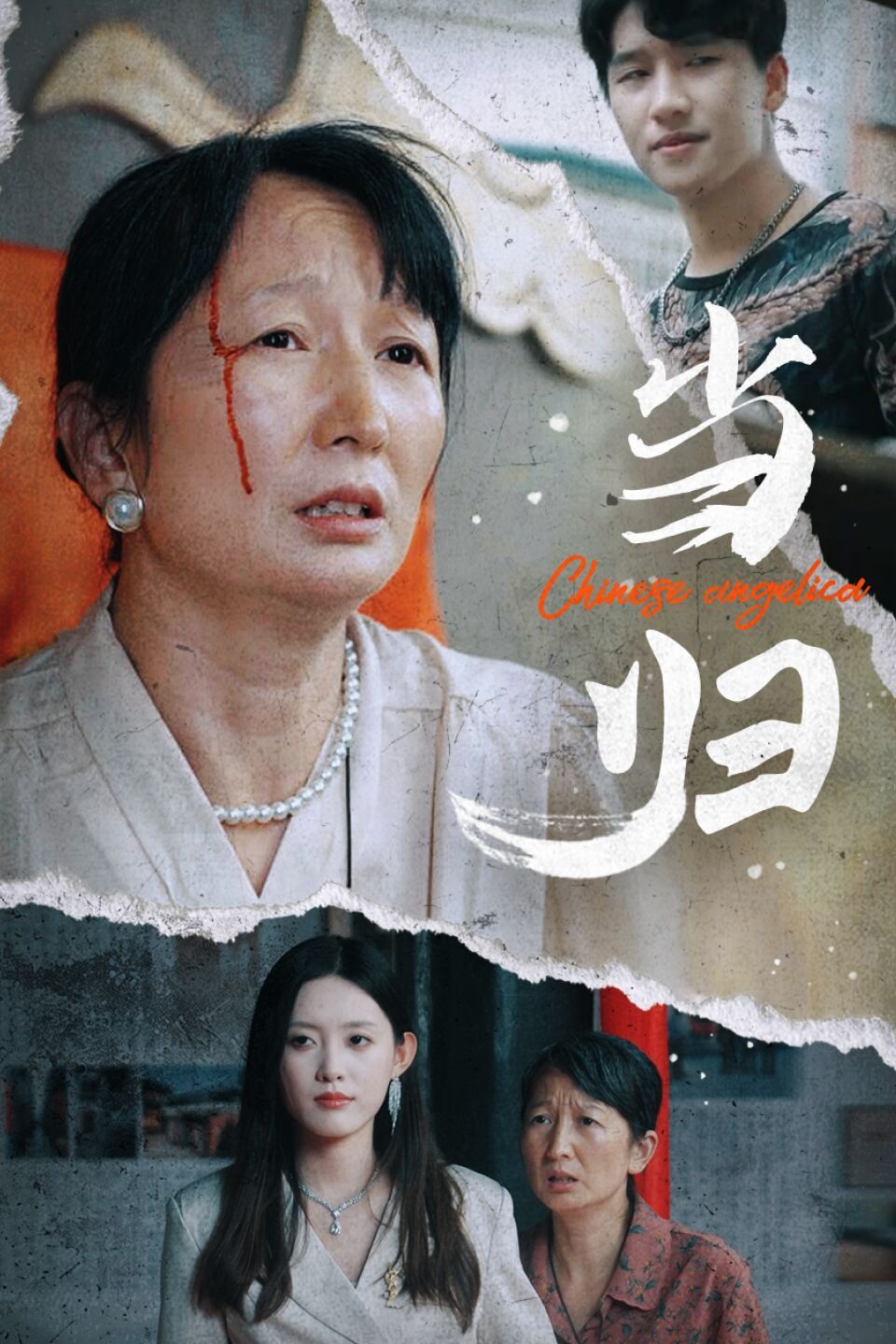 当归第21-40集