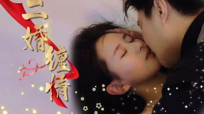 二婚缠情第41-60集
