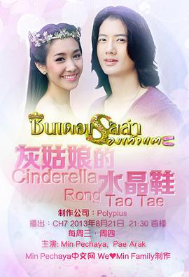 灰姑娘的水晶鞋第09集