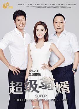超级翁婿第13集