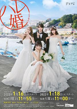 后宫婚第09集(大结局)