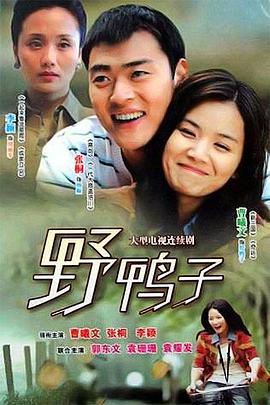 野鸭子第13集