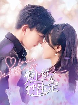 爱上你是命中注定第12集(大结局)