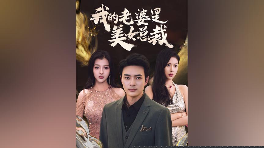 (新)我的老婆是美女总裁(全集)