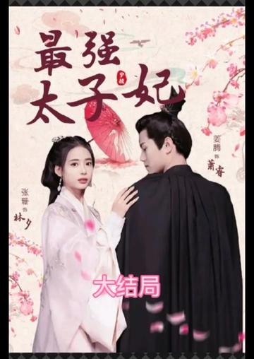最强太子妃21-40集