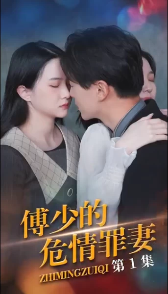 傅少的隐婚罪妻21-40集