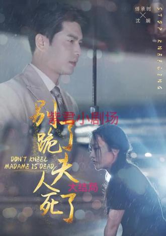 别跪了，夫人死了21-40集