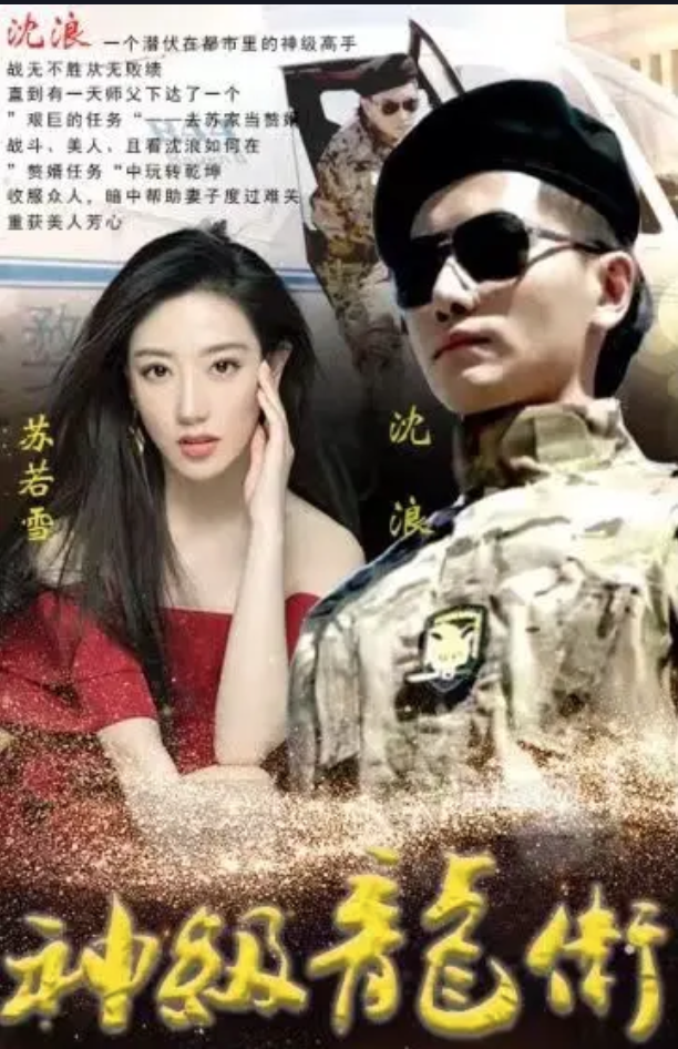 神级龙卫1-20集