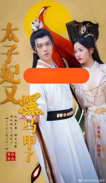 太子妃又爆马甲了6-10集