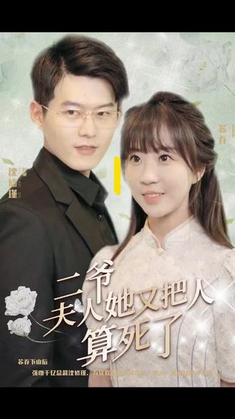 二爷，夫人又把人算死了1-20集