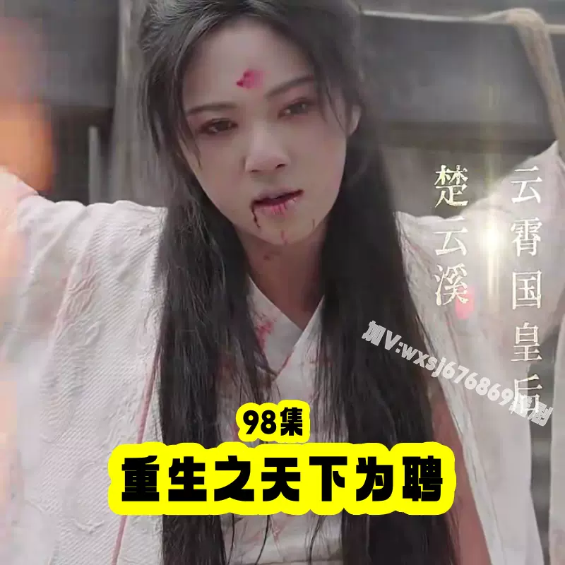 重生之天下為聘11-20集
