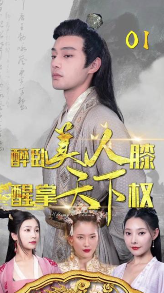 醉卧美人膝，醒掌天下权61-80集