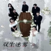 双生迷雾全集(大结局)