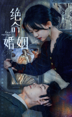 绝命婚姻全集(大结局)