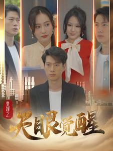 赘婿之天眼觉醒全集(大结局)