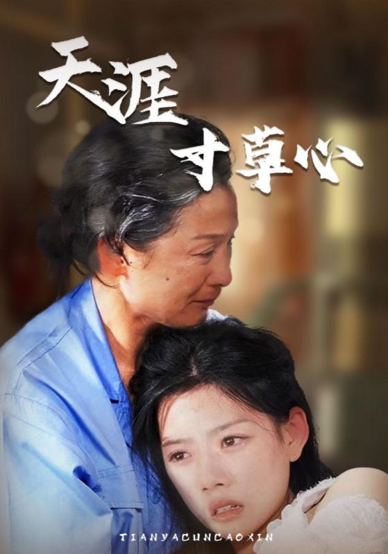 天涯寸草心第61-76集完结(大结局)