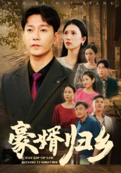 豪婚归乡全集(大结局)