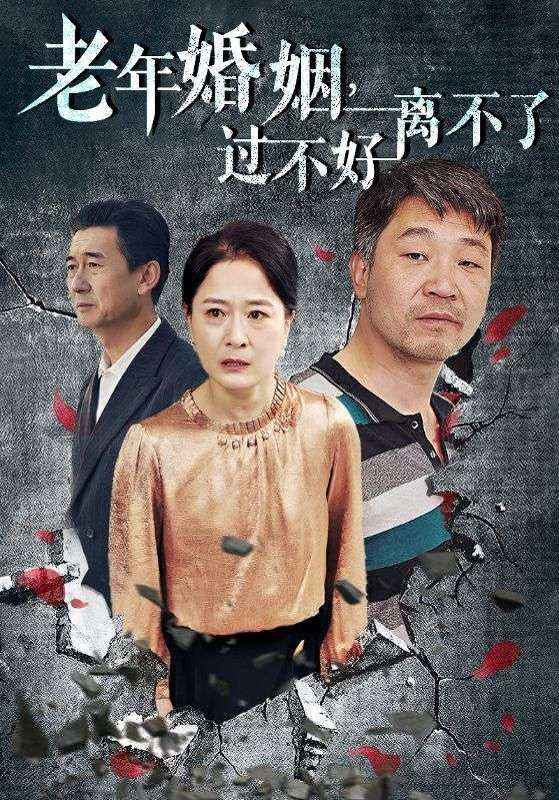 老年婚姻过不好离不了全集(大结局)