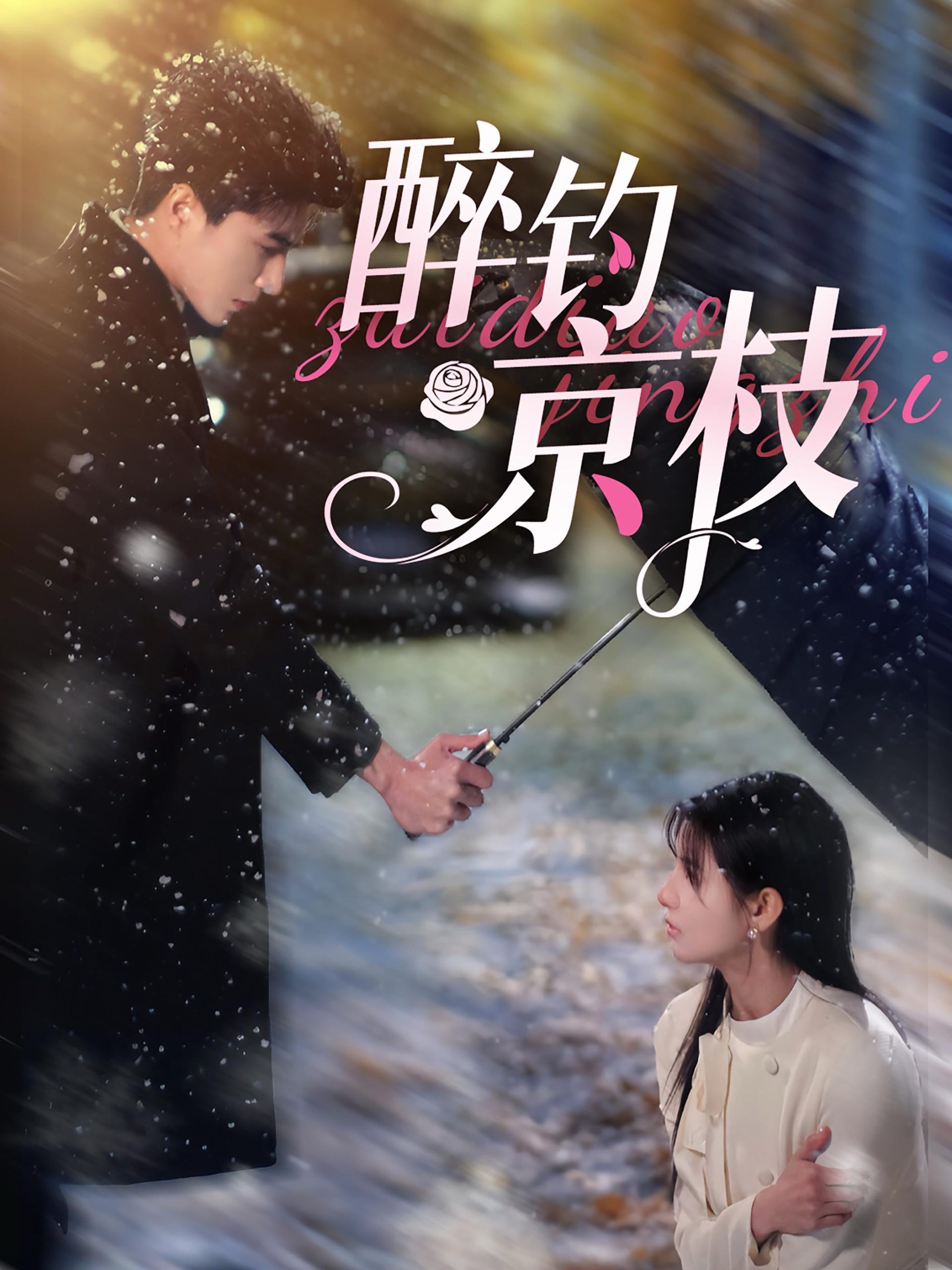 醉钓京枝第41-60集