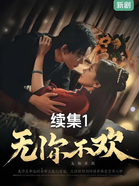 无你不欢第41-60集