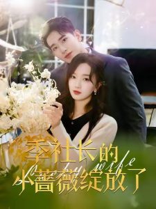 季社长的小蔷薇绽放了第41-60集完结(大结局)