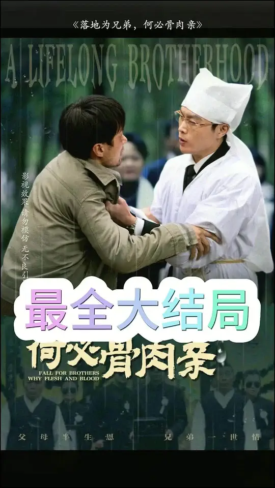 落地为兄弟，何必骨肉亲第21-40集